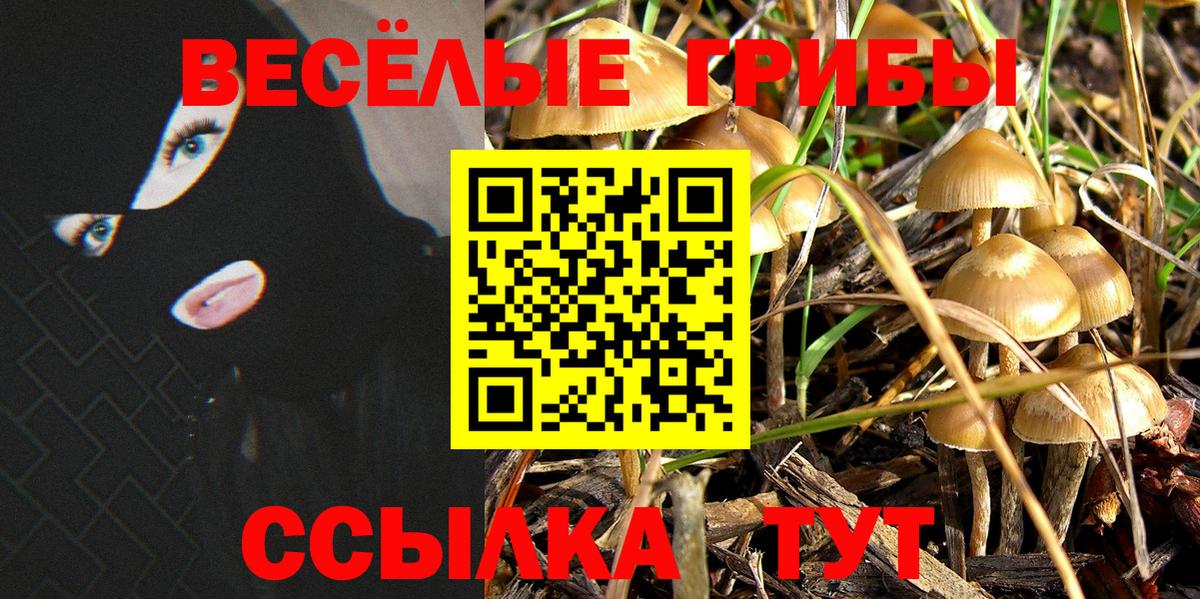 Галлюциногенные грибы Psilocybe  где можно купить наркотик  Алексеевка  Псилоцибиновые грибы ЛСД  Вход с VPN 